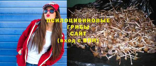COCAINE Снежинск